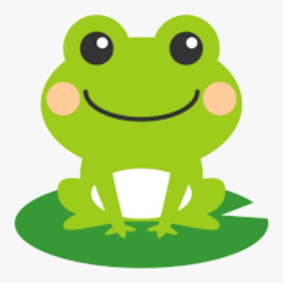 Meet your Posher, Frog - Picture 1 of 1